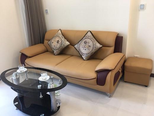 apartment for rent in HCMC BT106L1991 Vu (3)